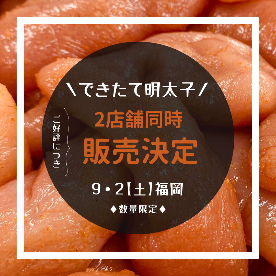 できたて明太子販売決定! ダイキョーバリュー✖️太良福