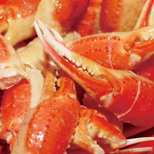 〖在庫限り〗カニ爪（1㎏/ 26-30本）